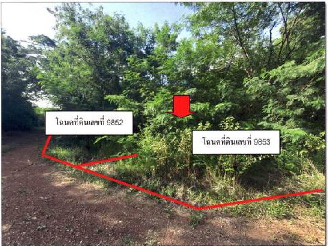 Residential land/lot Phetchabun Nong Phai Bua Watthana 24250