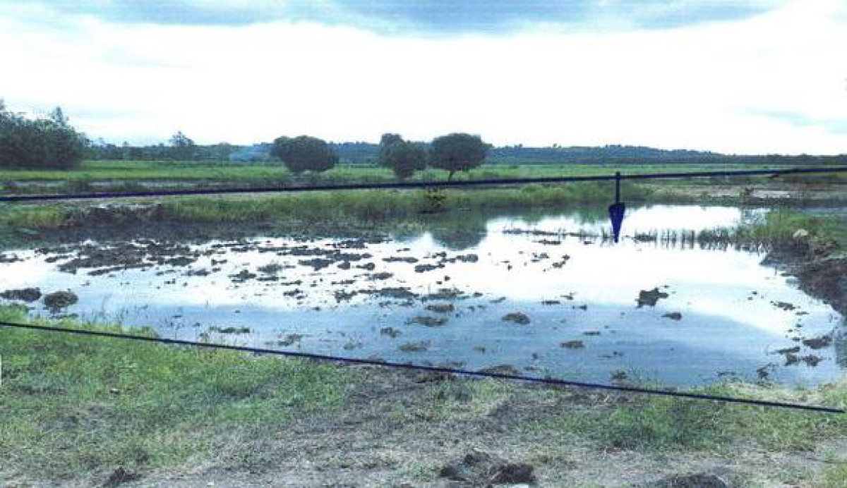 Residential land/lot Phetchabun Bueng Sam Phan Kan Chu 579540