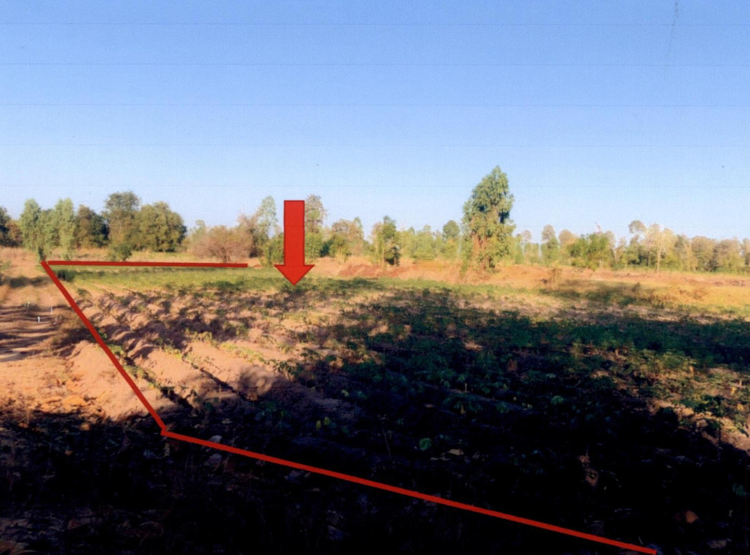 Residential land/lot Kamphaeng Phet Phran Kratai Tha Mai 415610