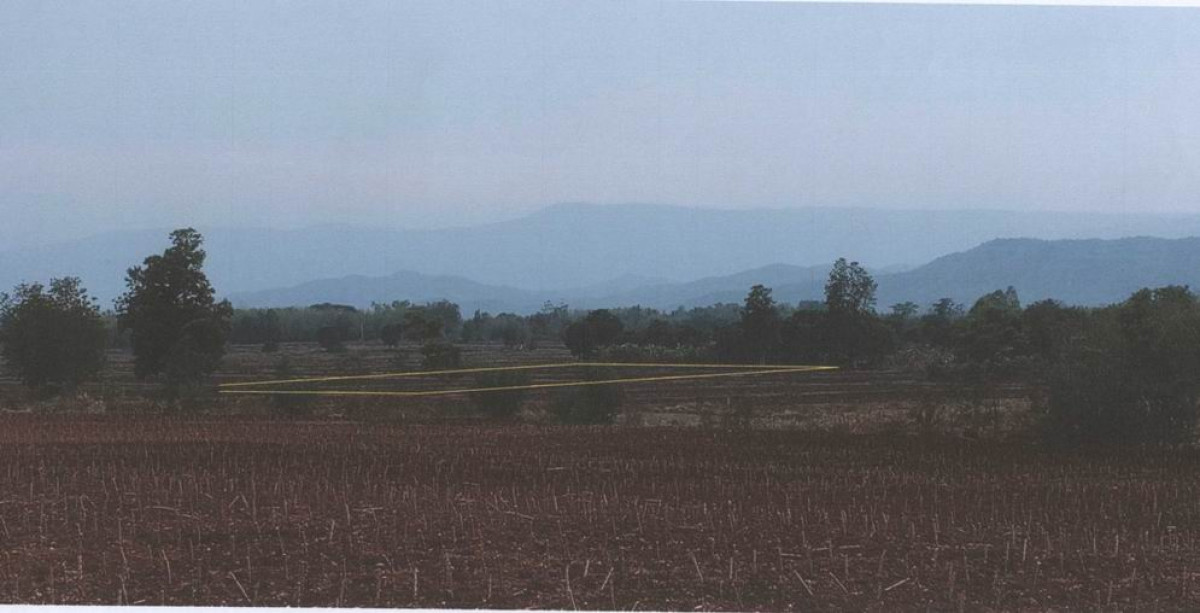 Residential land/lot Phetchabun Mueang Phetchabun Tha Phon 123323
