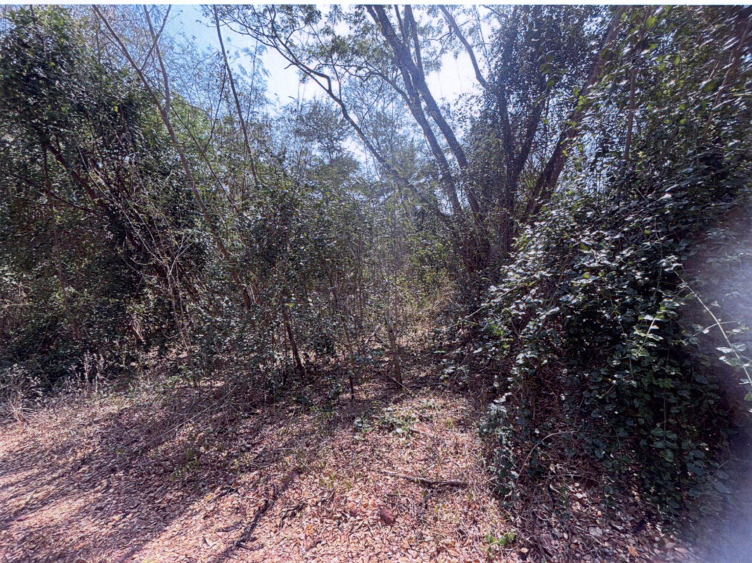 Residential land/lot Ratchaburi Mueang Ratchaburi Khung Krathin 56000