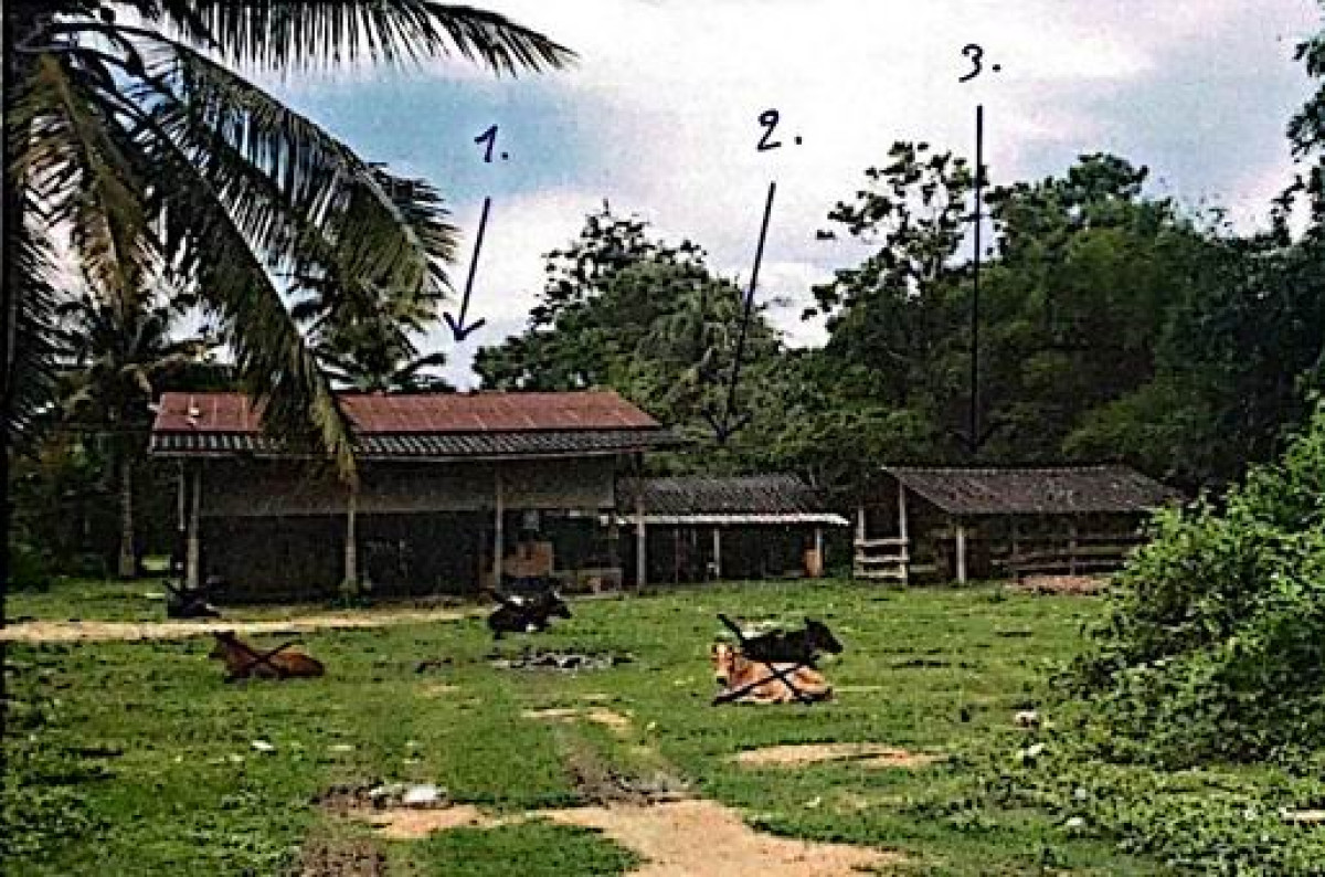 บ้านเดี่ยว ราชบุรี ปากท่อ ทุ่งหลวง 1016920
