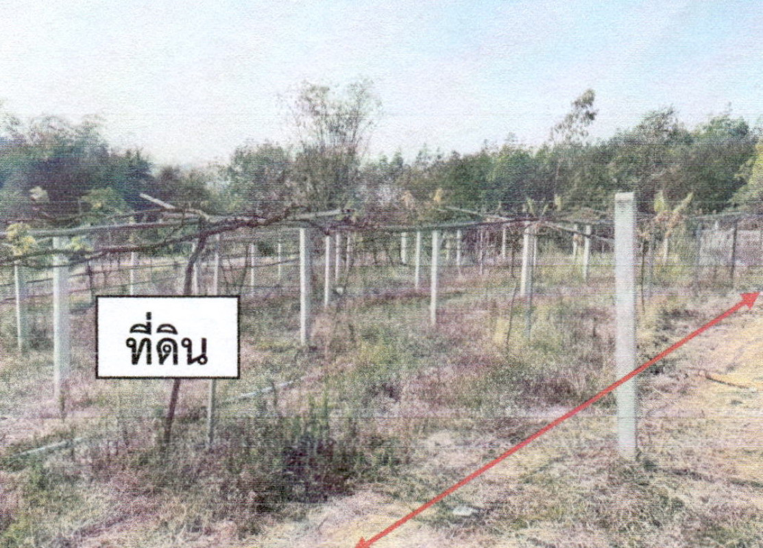 Residential land/lot Loei Chiang Khan That 18837