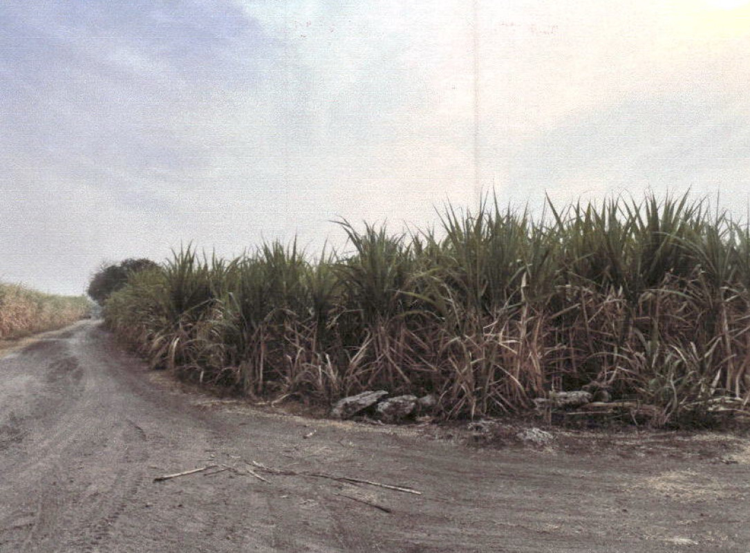 Residential land/lot Suphan Buri U Thong Phlapphla Chai 324700
