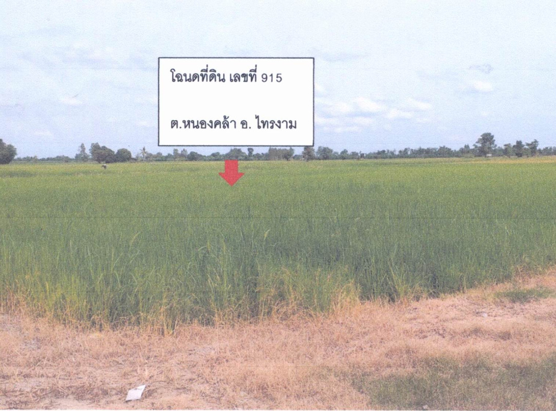 Residential land/lot Kamphaeng Phet Sai Ngam Nong Khla 121650