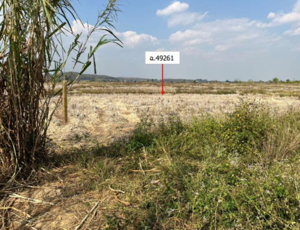 Residential land/lot Chiang Rai Thoeng Mae Loi 298440