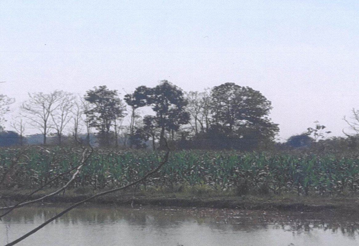 Residential land/lot Phrae Song Huai Mai 238700