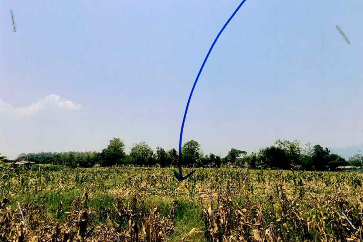 Residential land/lot Nan Pua Chai Watthana 118650