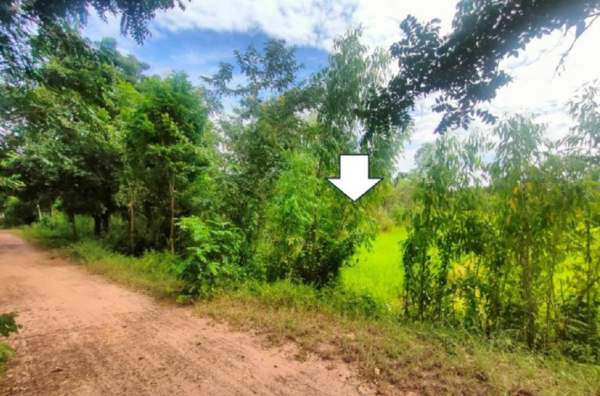 Residential land/lot Udon Thani Kumphawapi Pha Suk 600000