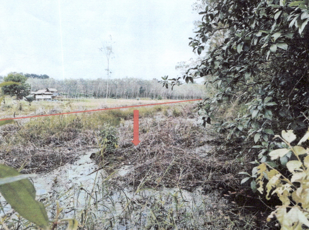 Residential land/lot Phatthalung Pa Bon Wang Mai 67860
