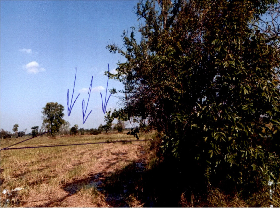 Residential land/lot Nakhon Ratchasima Phimai Nong Rawiang 177900