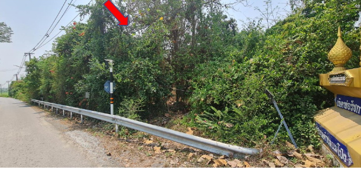 Residential land/lot Chiang Mai Doi Saket Mae Pong 2662370
