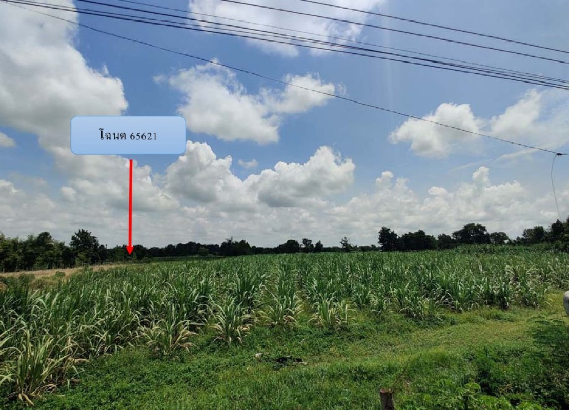 Residential land/lot Nakhon Ratchasima Phimai Nikhom Sang Ton-Eng 419850
