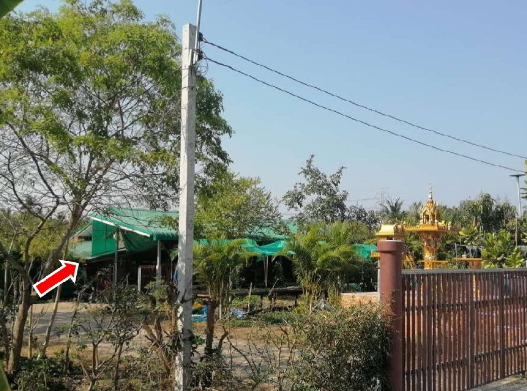 บ้านเดี่ยว ราชบุรี โพธาราม ท่าชุมพล 2995274