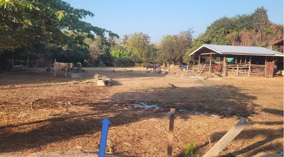 ที่ดินเปล่า ราชบุรี โพธาราม คลองข่อย 410960