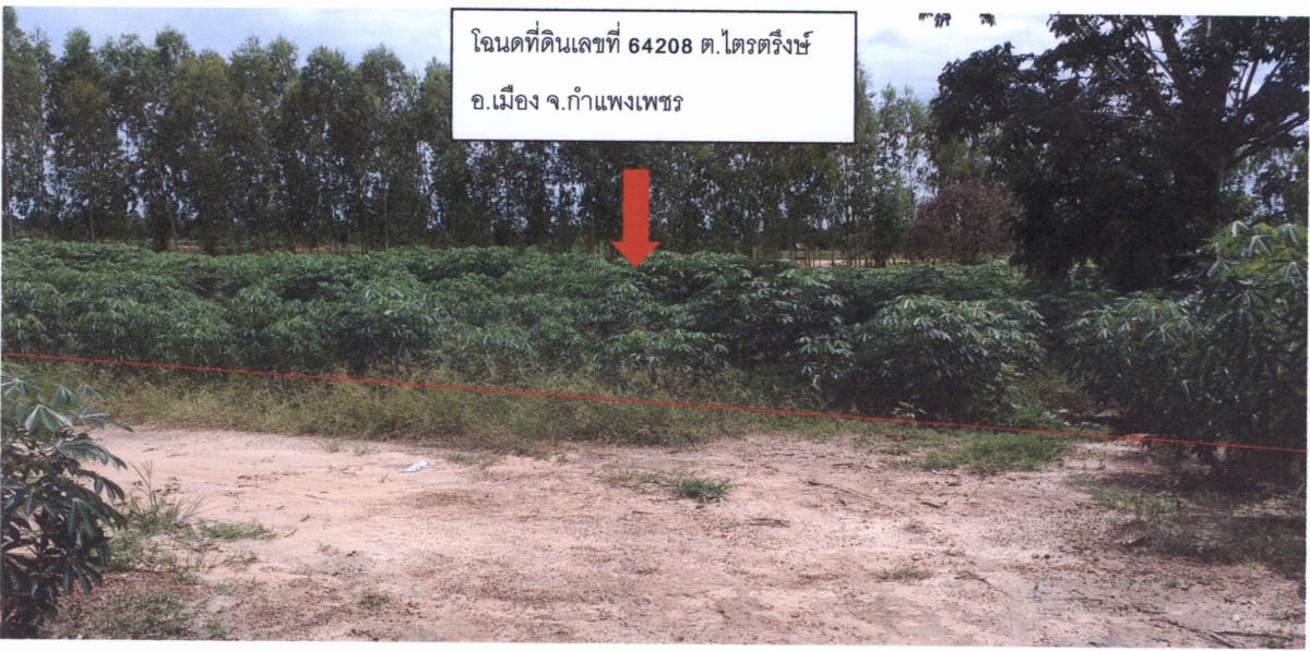 Residential land/lot Kamphaeng Phet Mueang Kamphaeng Phet Trai Trueng 289520