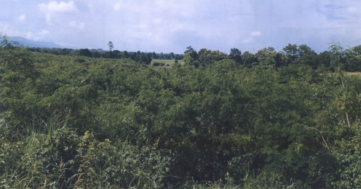 Residential land/lot Phetchabun Mueang Phetchabun Na Ngua 1451800