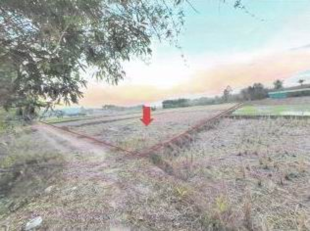 Residential land/lot Sakon Nakhon Song Dao Pathum Wapi 320750
