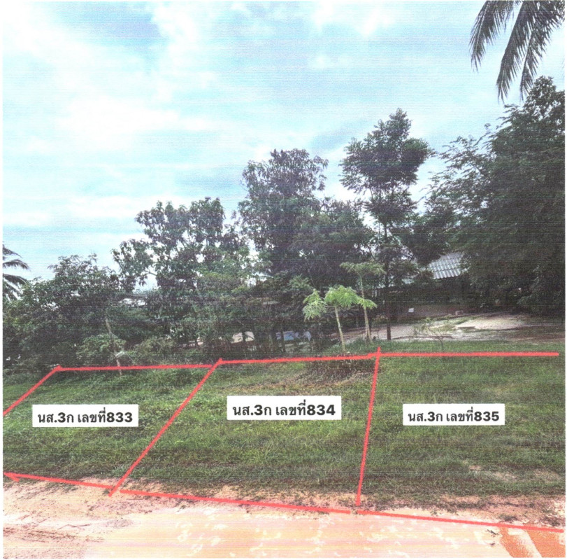 Residential land/lot Surat Thani Chaiya Phum Riang 60000