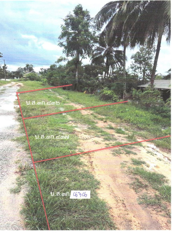 Residential land/lot Surat Thani Chaiya Phum Riang 57000