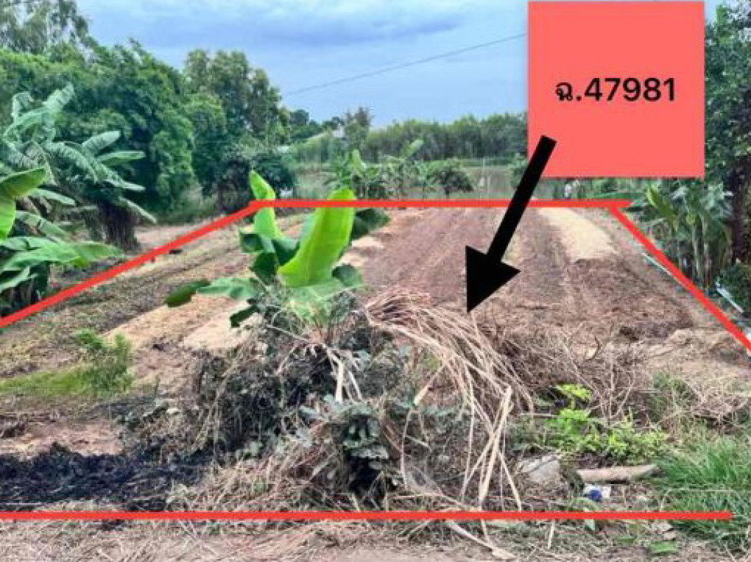 ที่ดินเปล่า มหาสารคาม โกสุมพิสัย หนองบัว 51000
