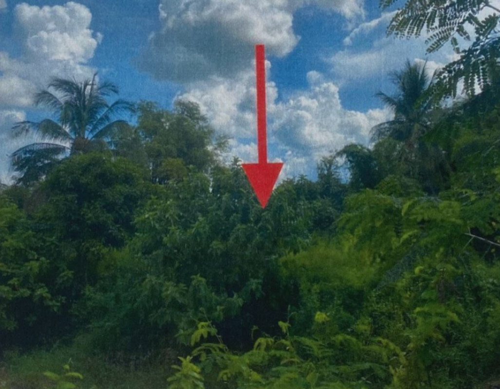 Residential land/lot Udon Thani Nam Som Nam Som 27000