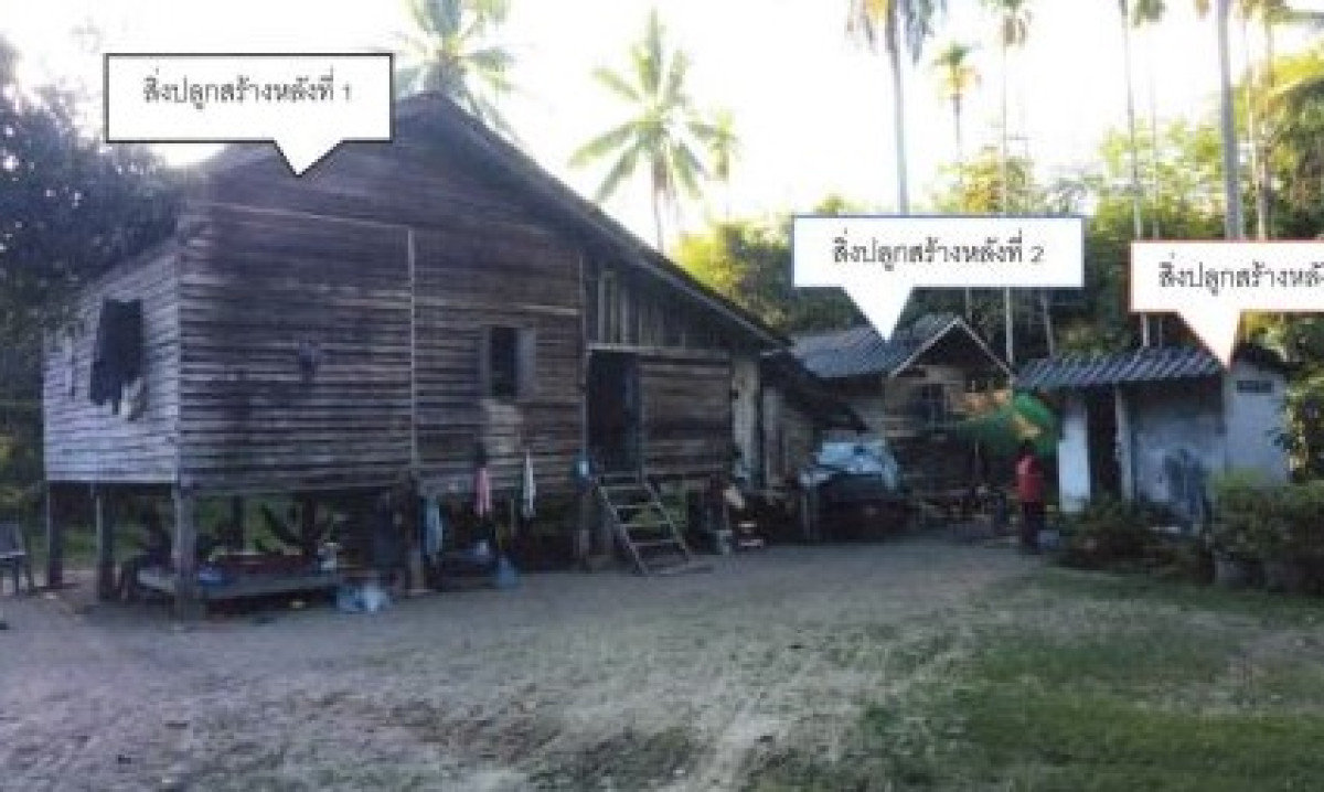 Single house Nakhon Si Thammarat Phra Phrom Thai Samphao 341600