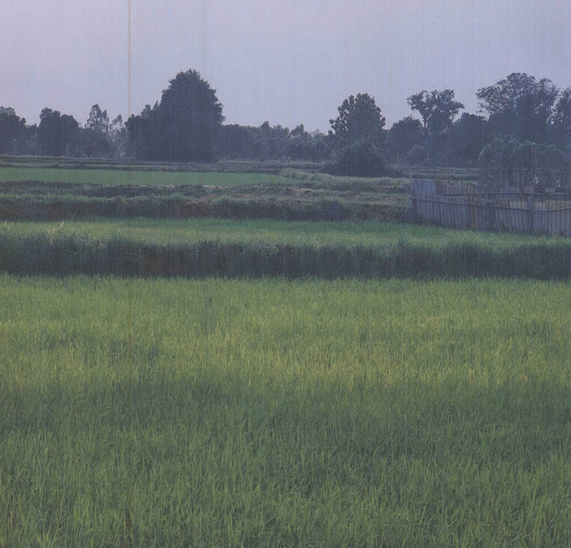 Residential land/lot Maha Sarakham Wapi Pathum Nong Thum 210000