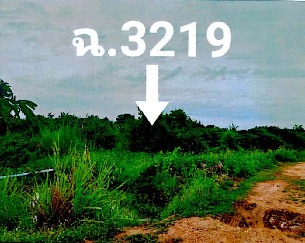 Residential land/lot Kamphaeng Phet Sai Ngam Nong Thong 790020