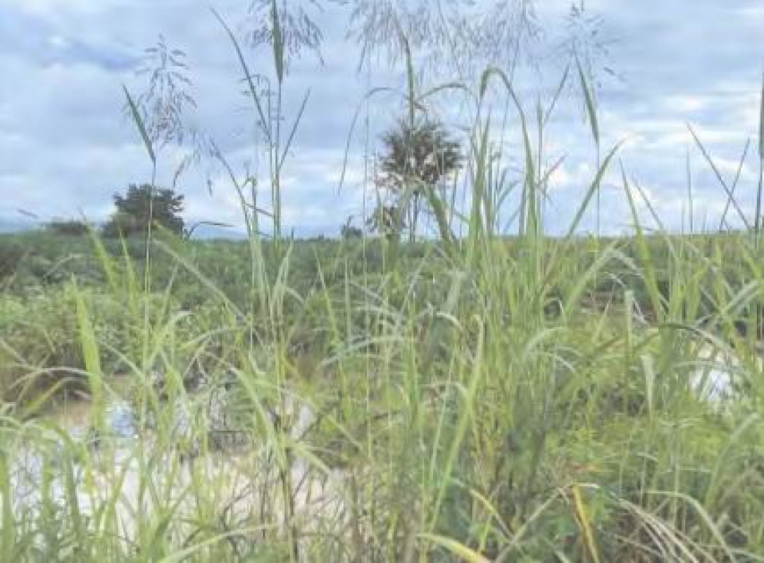 Residential land/lot Phetchabun Mueang Phetchabun Huai Yai 140000