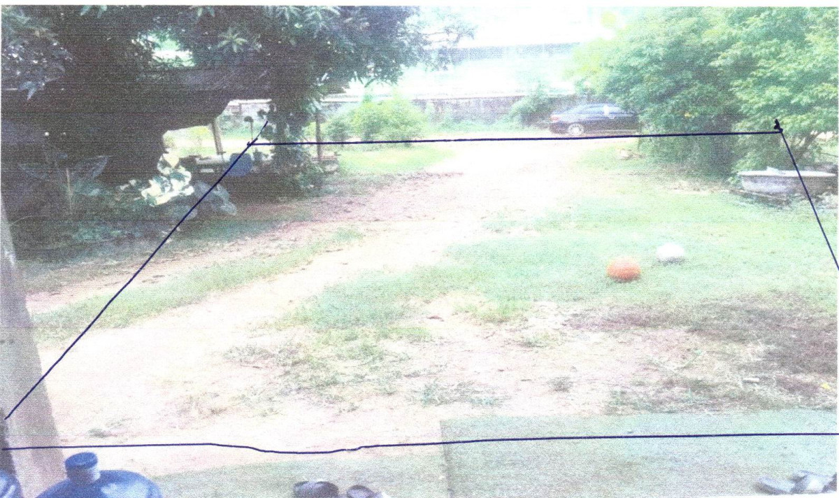Residential land/lot Phetchabun Nong Phai Na Chaliang 72100