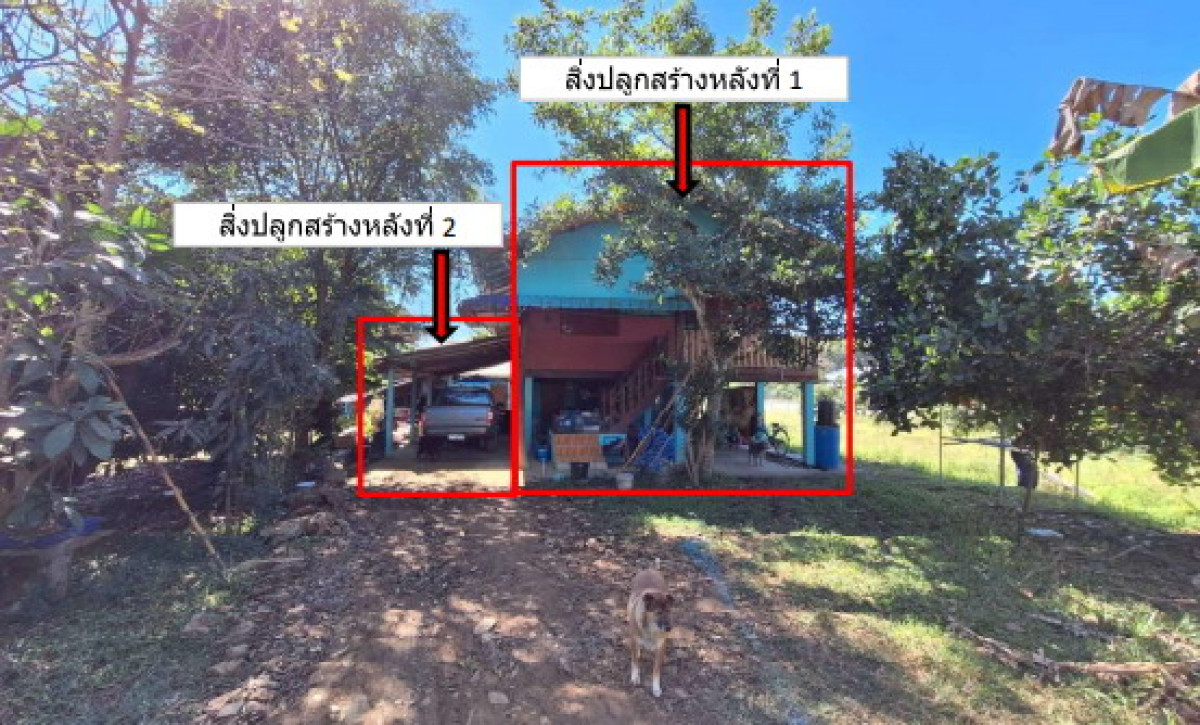 Single house Chiang Rai Thoeng Wiang 332280