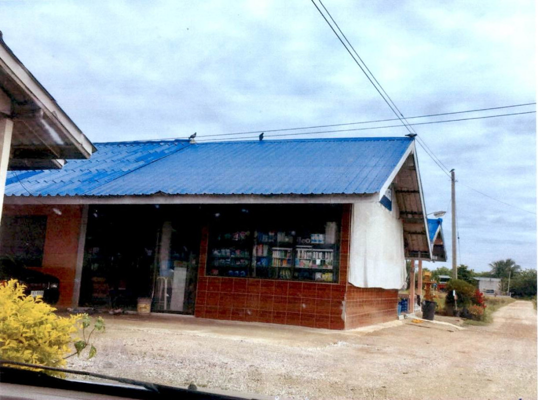 บ้านเดี่ยว เพชรบูรณ์ บึงสามพัน หนองแจง 2796360