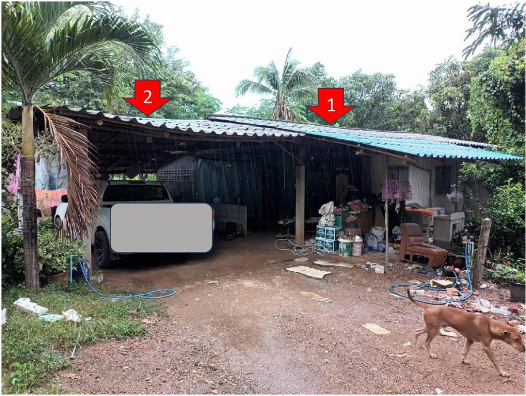 บ้านเดี่ยว เพชรบูรณ์ วิเชียรบุรี สระประดู่ 596538