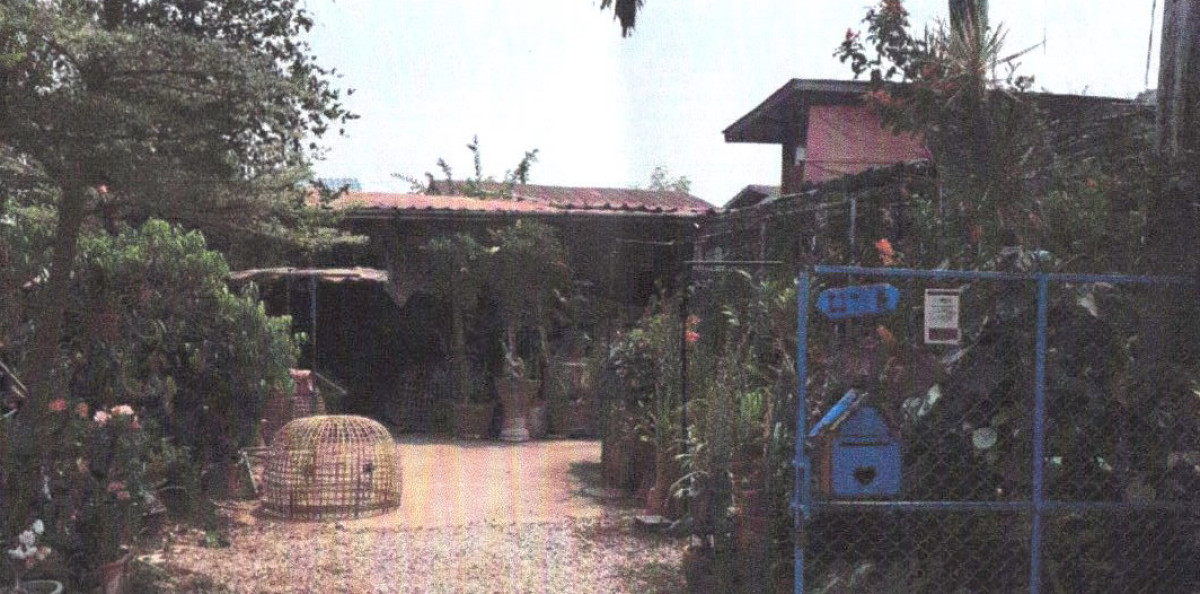 บ้านเดี่ยว แพร่ เมืองแพร่ ป่าแมต 291300