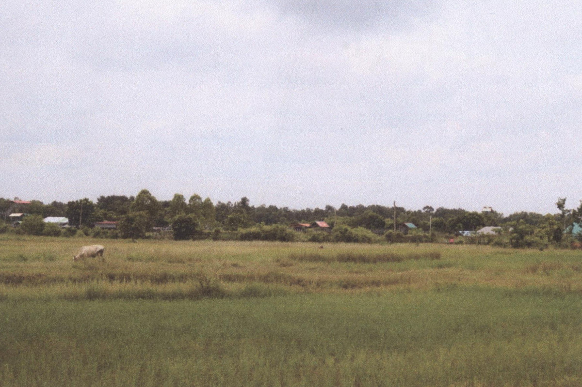 Residential land/lot Sakon Nakhon Sawang Daen Din Sawang Daen Din 66625