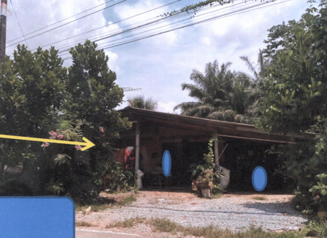 Single house Phatthalung Pa Bon Thung Nari 912930