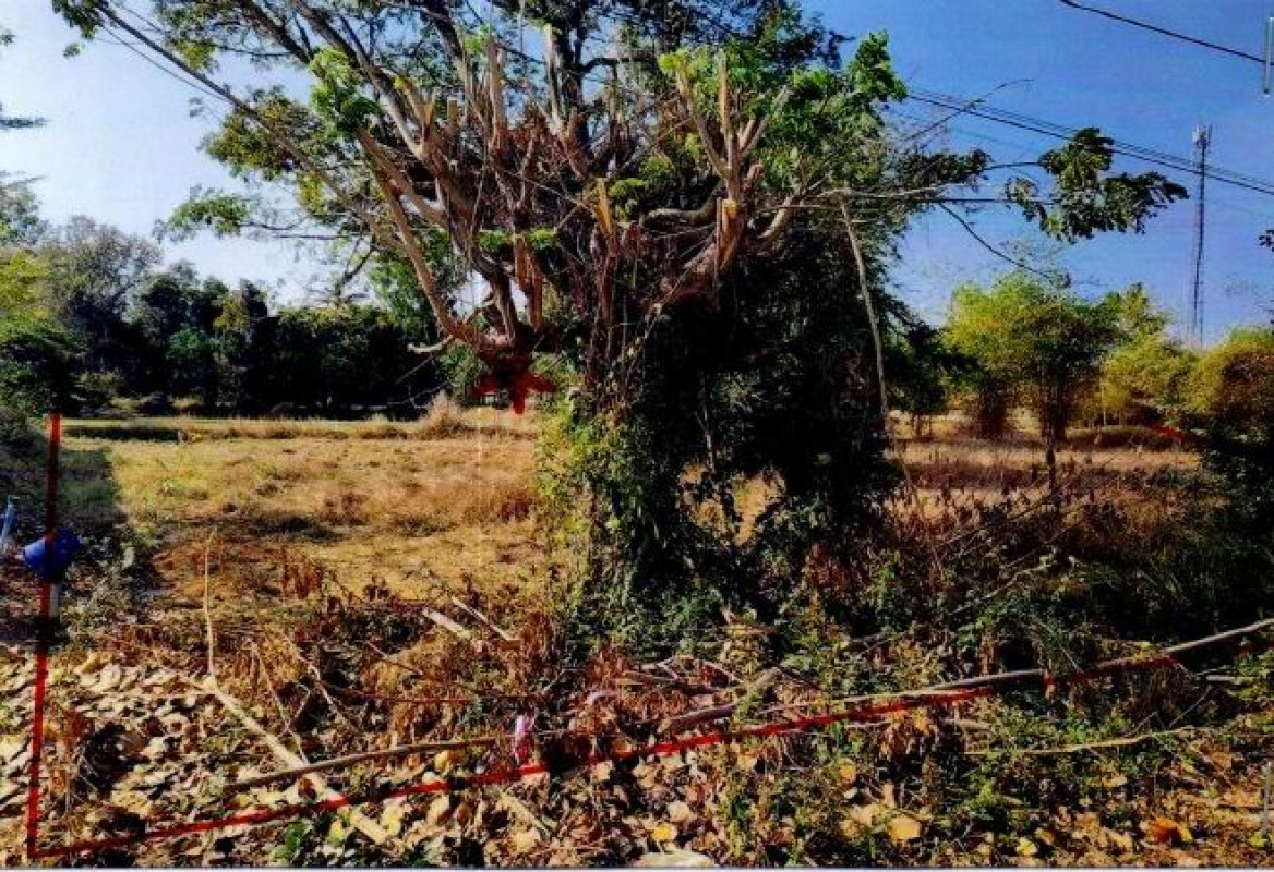 Residential land/lot Buri Ram Satuek Sakae 1350000