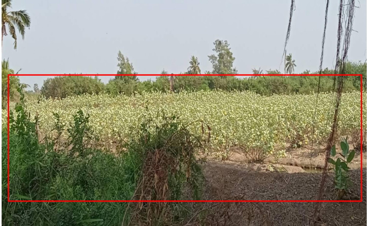Residential land/lot Nakhon Pathom Nakhon Chai Si Wat Lamut 1110200