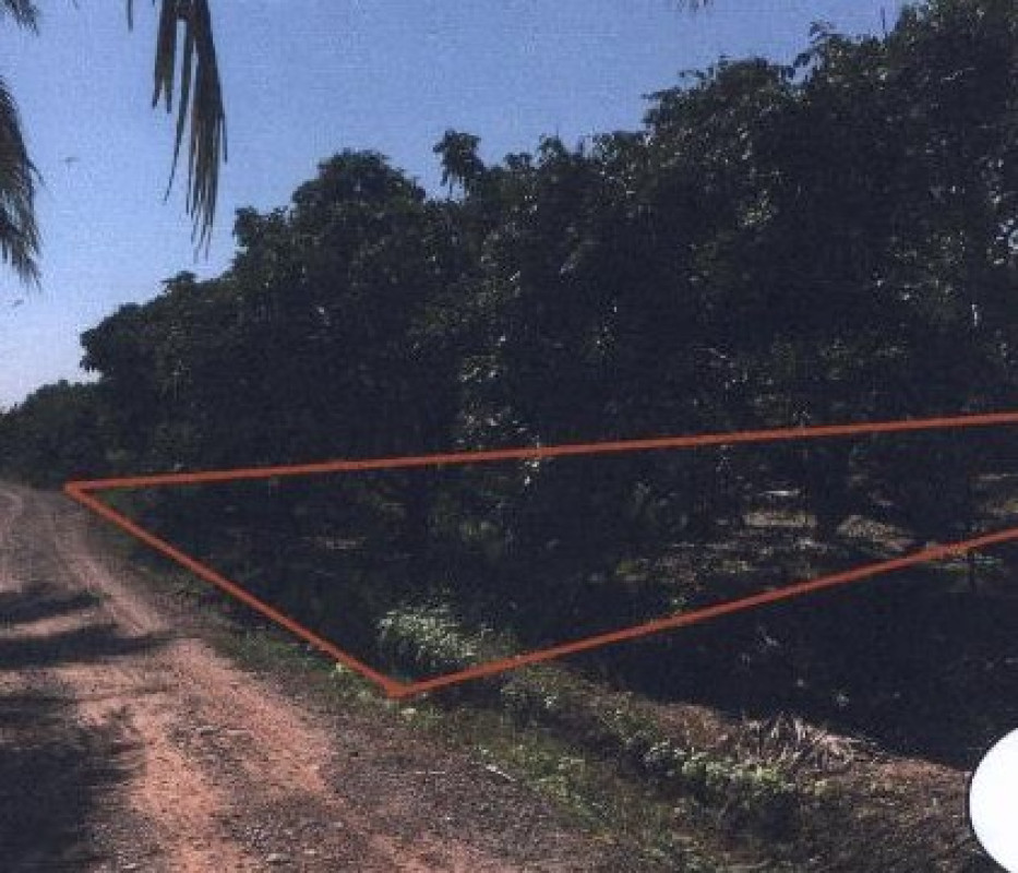 Residential land/lot Chiang Mai San Pa Tong Makham Luang 728700