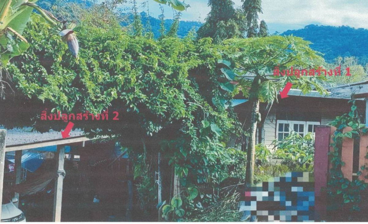 บ้านเดี่ยว เชียงใหม่ แม่ริม โป่งแยง 736600