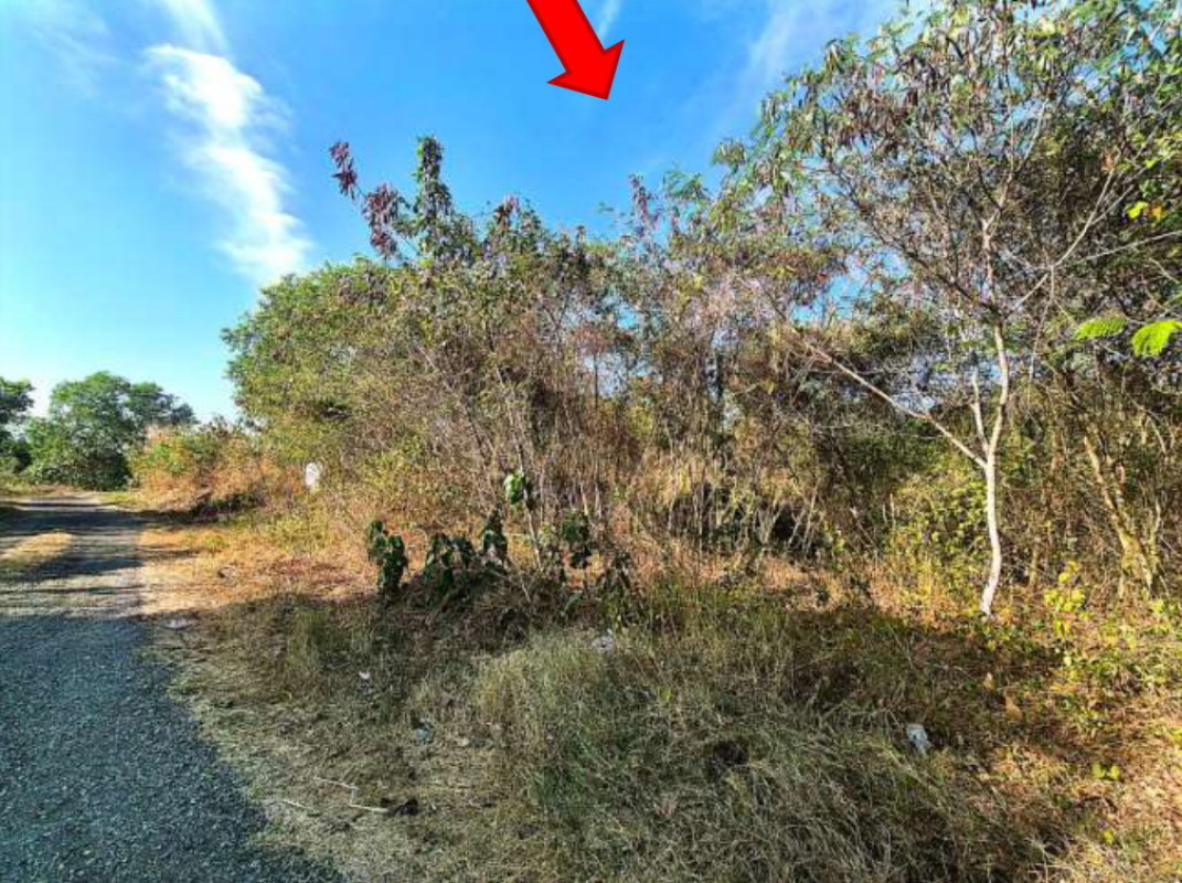 Residential land/lot Chanthaburi Tha Mai Si Phaya 773760