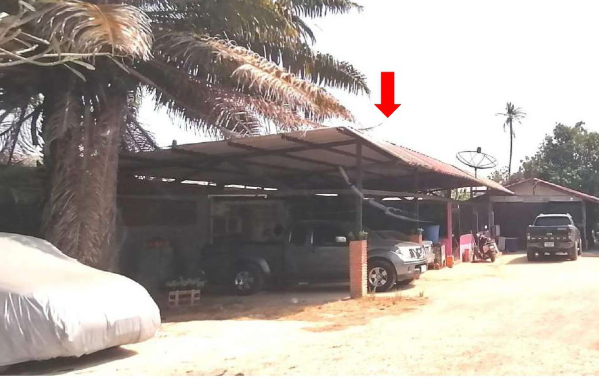 บ้านเดี่ยว ราชบุรี บ้านโป่ง ปากแรต 4877660