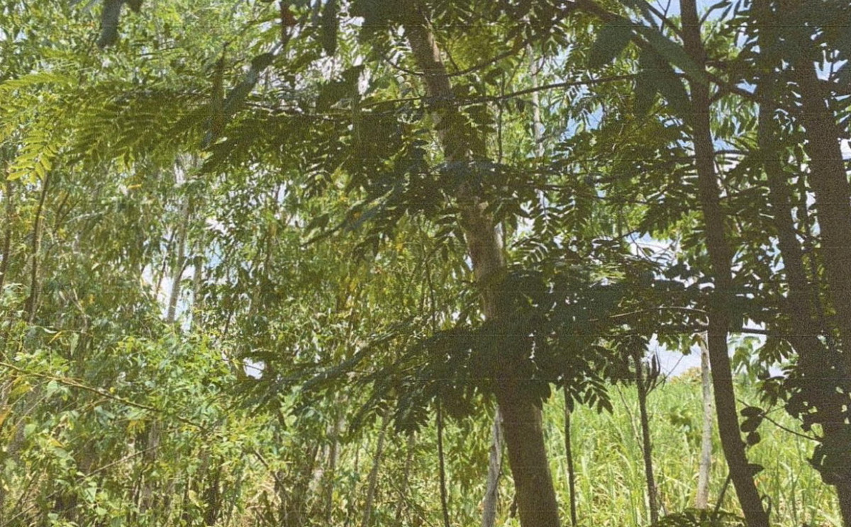 Residential land/lot Khon Kaen Nong Ruea Non Sa-At 1162500