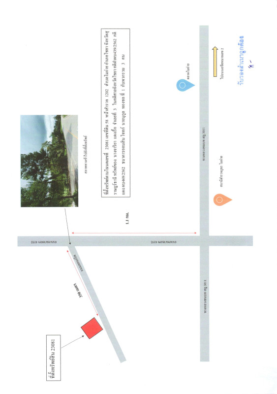 บ้านเดี่ยว สุราษฎร์ธานี ไชยา โมถ่าย 1688536