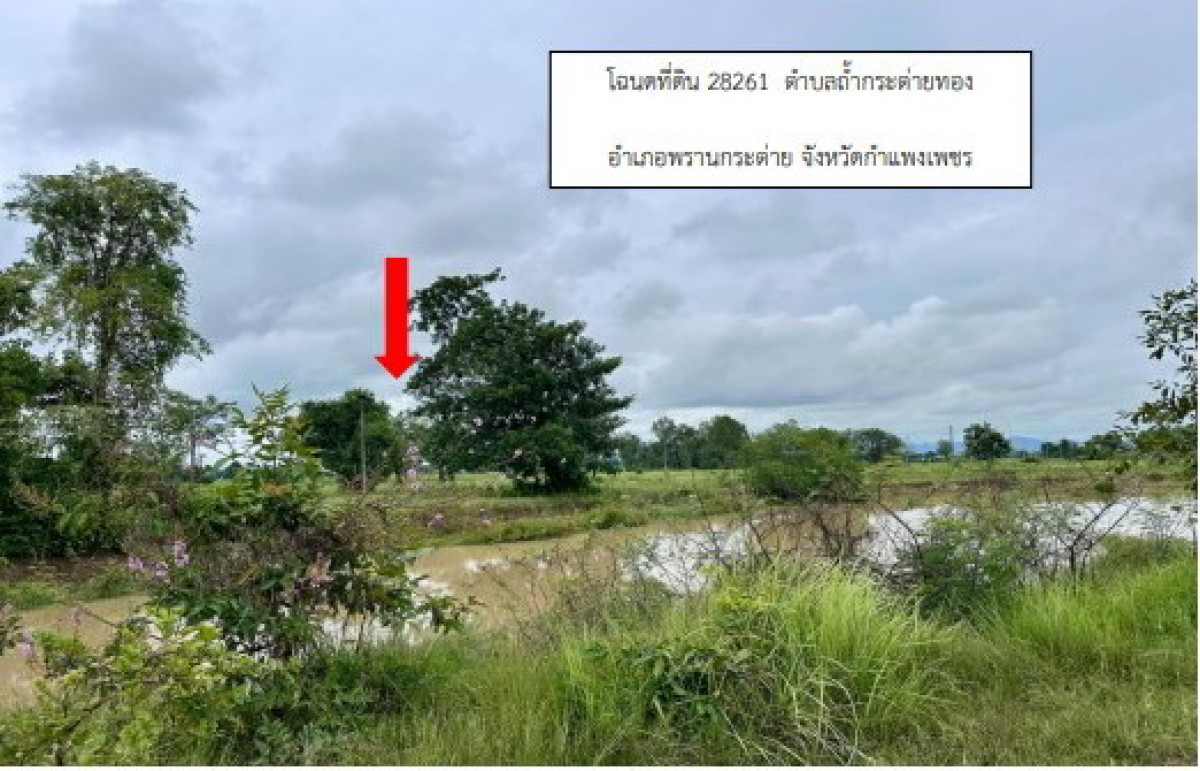 ที่ดินเปล่า กำแพงเพชร พรานกระต่าย ถ้ำกระต่ายทอง 304500