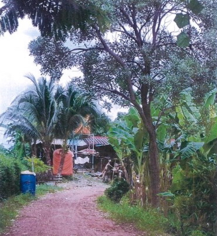 Single house Phetchabun Chon Daen Takut Lai 808640