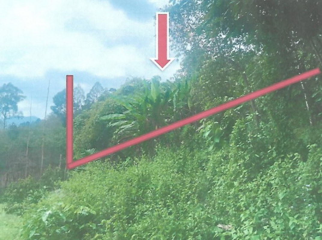 Residential land/lot Nakhon Si Thammarat Nopphitam Na Reng 2077920