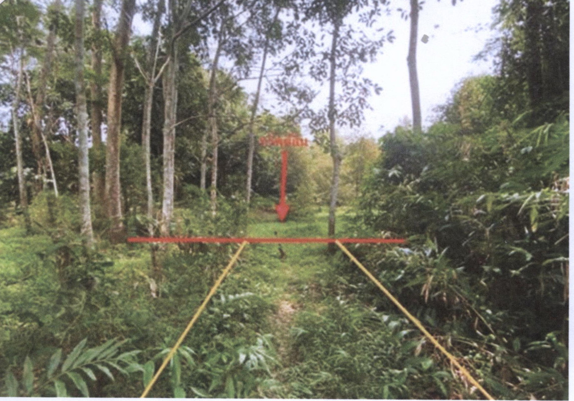 Residential land/lot Phatthalung Pa Phayom Ban Prow 330525