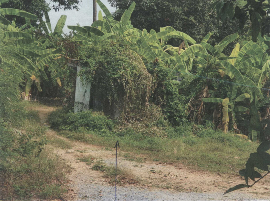 ที่ดินเปล่า สุพรรณบุรี เมืองสุพรรณบุรี ทับตีเหล็ก 55250